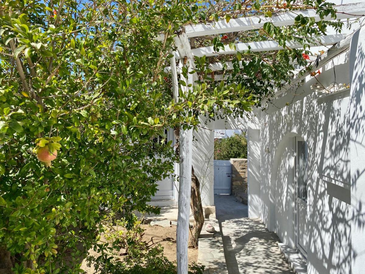 Maria Elena - Suite Home Mykonos Town Extérieur photo